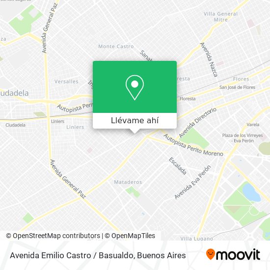 Mapa de Avenida Emilio Castro / Basualdo