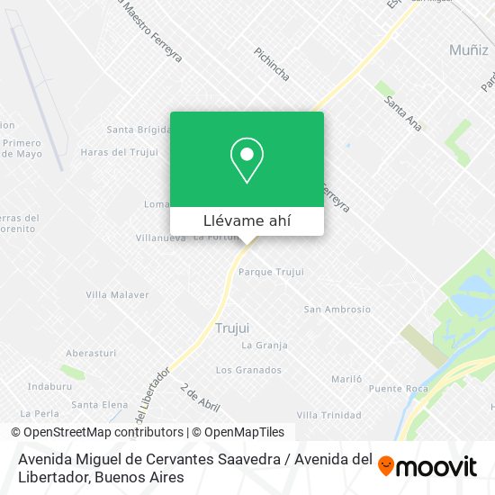Mapa de Avenida Miguel de Cervantes Saavedra / Avenida del Libertador