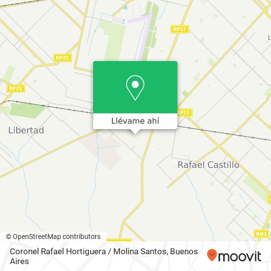 Mapa de Coronel Rafael Hortiguera / Molina Santos