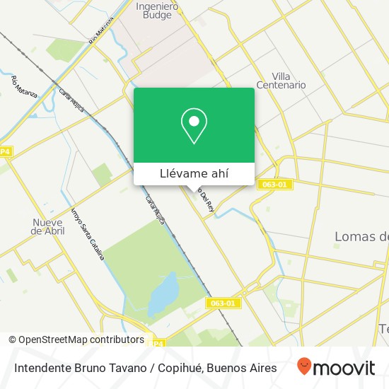 Mapa de Intendente Bruno Tavano / Copihué