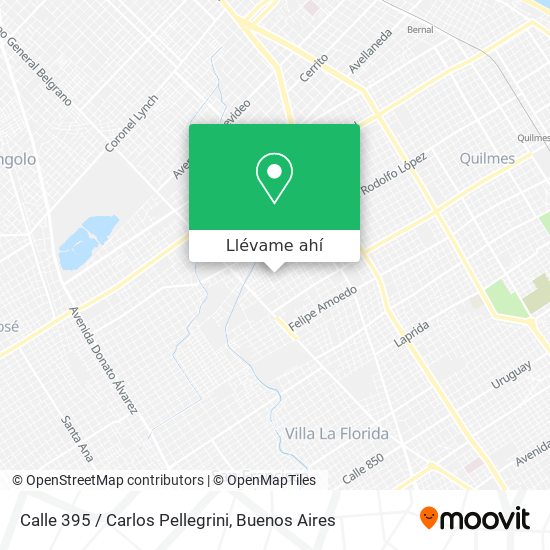Mapa de Calle 395 / Carlos Pellegrini