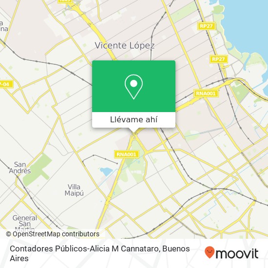 Mapa de Contadores Públicos-Alicia M Cannataro
