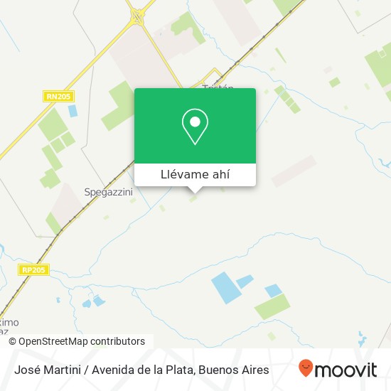 Mapa de José Martini / Avenida de la Plata