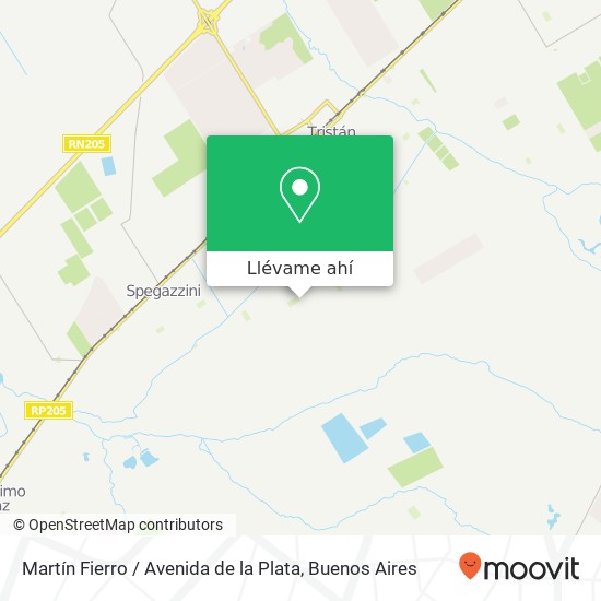 Mapa de Martín Fierro / Avenida de la Plata