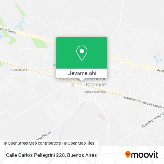 Mapa de Calle Carlos Pellegrini 228