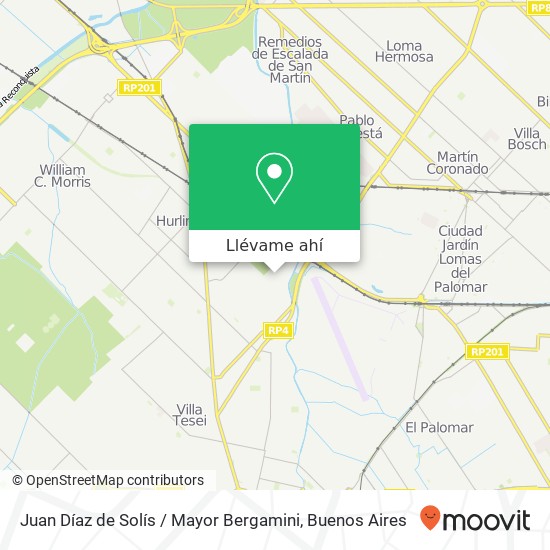 Mapa de Juan Díaz de Solís / Mayor Bergamini