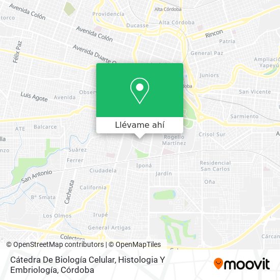 Mapa de Cátedra De Biología Celular, Histologia Y Embriología