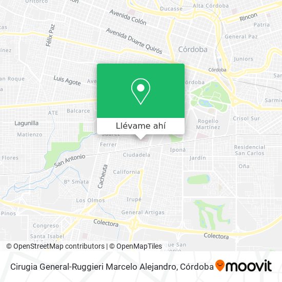 Mapa de Cirugia General-Ruggieri Marcelo Alejandro