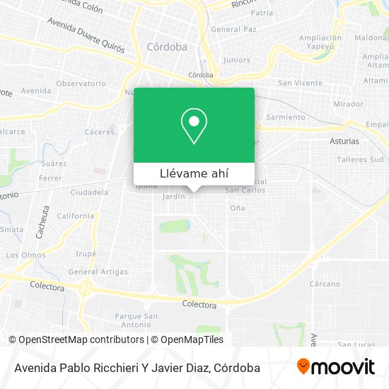 Mapa de Avenida Pablo Ricchieri Y Javier Diaz