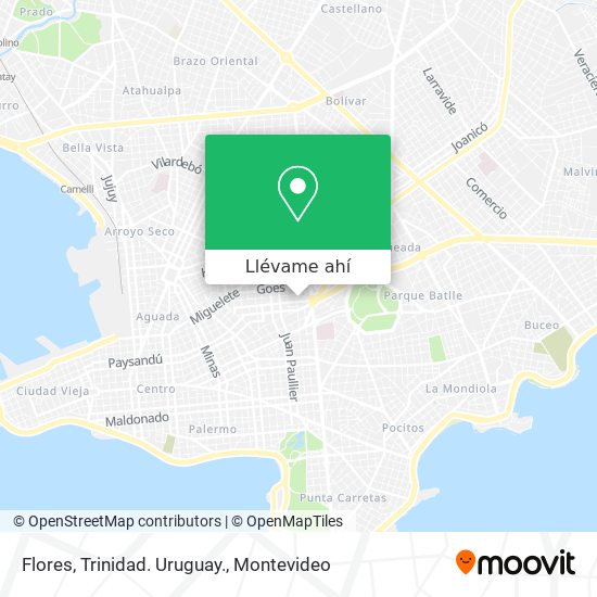 Mapa de Flores, Trinidad. Uruguay.