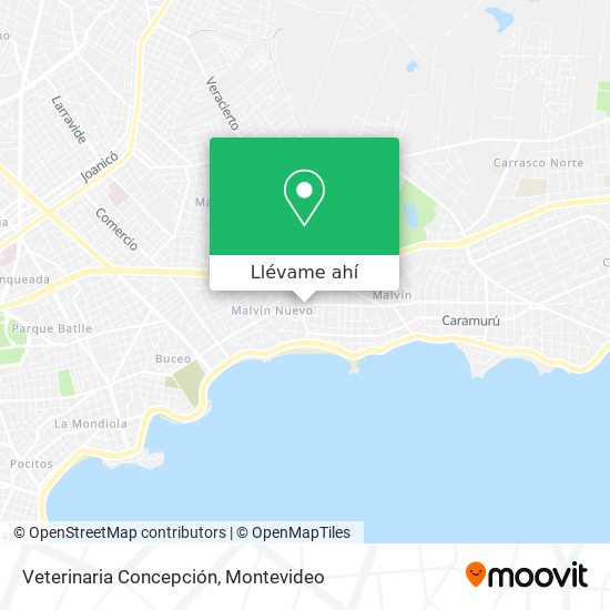 Mapa de Veterinaria Concepción
