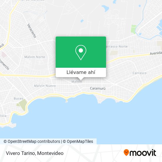 Mapa de Vivero Tarino