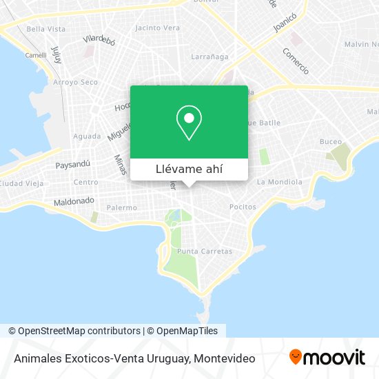 Mapa de Animales Exoticos-Venta Uruguay