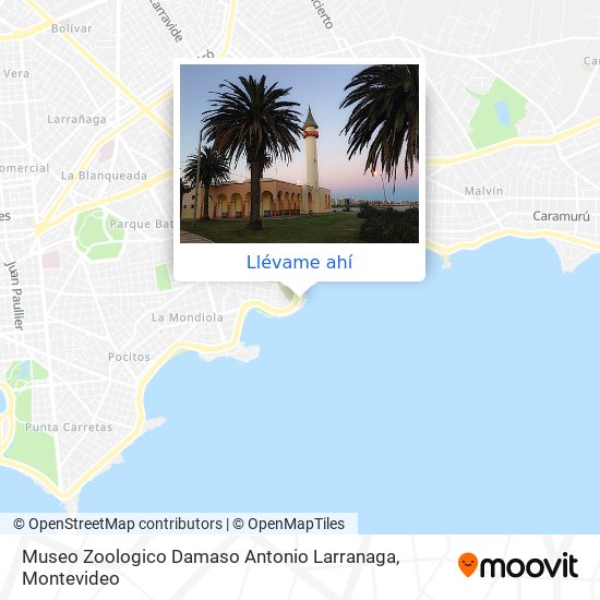 Mapa de Museo Zoologico Damaso Antonio Larranaga