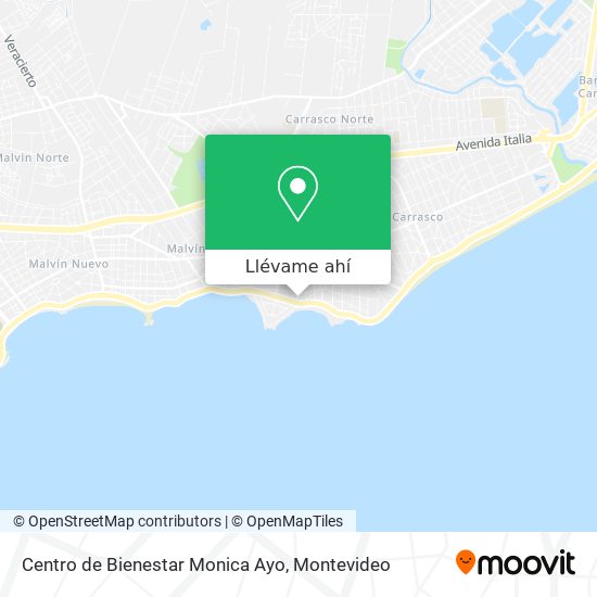 Mapa de Centro de Bienestar Monica Ayo