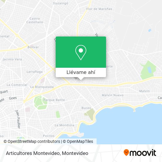 Mapa de Articultores Montevideo