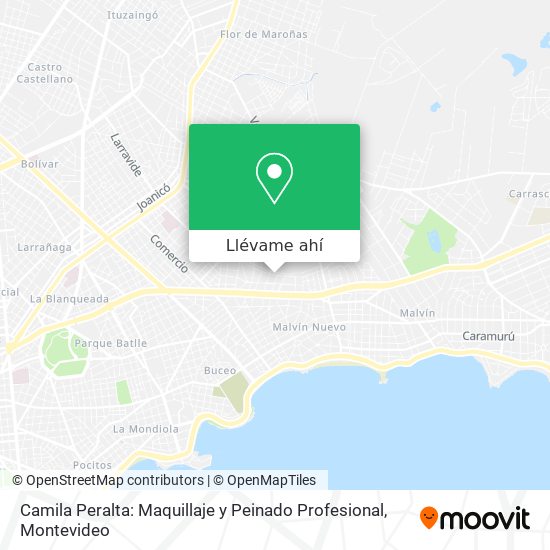 Mapa de Camila Peralta: Maquillaje y Peinado Profesional