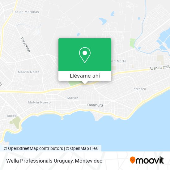 Mapa de Wella Professionals Uruguay
