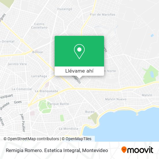 Mapa de Remigia Romero. Estetica Integral