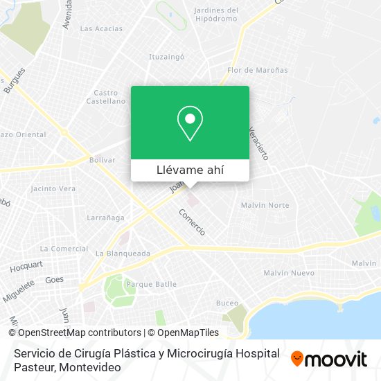 Mapa de Servicio de Cirugía Plástica y Microcirugía Hospital Pasteur