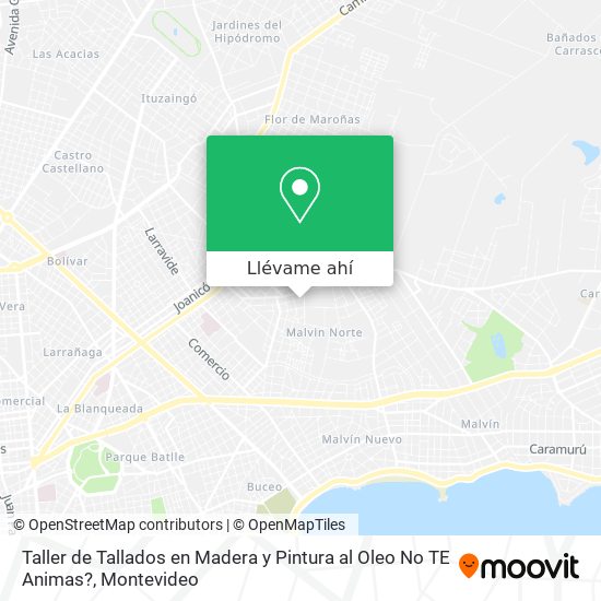 Mapa de Taller de Tallados en Madera y Pintura al Oleo No TE Animas?