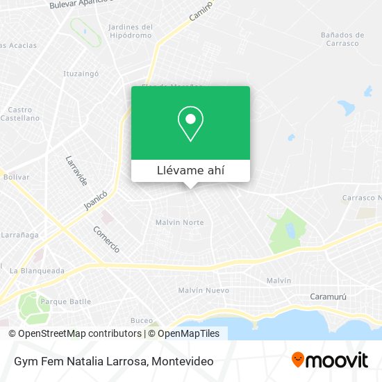 Mapa de Gym Fem Natalia Larrosa