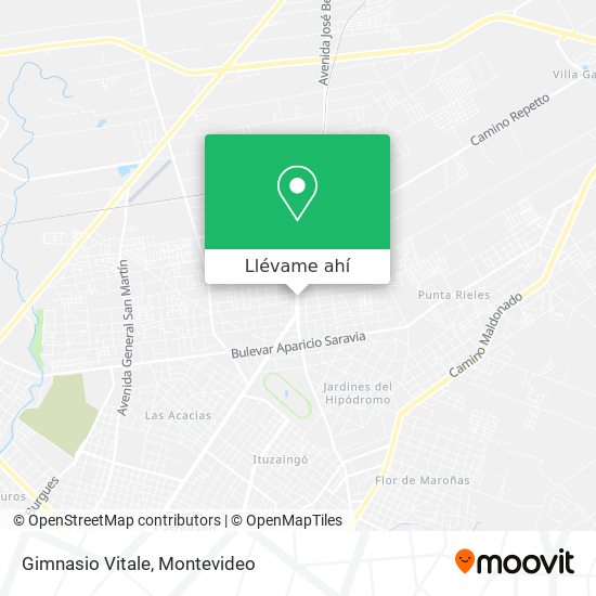 Mapa de Gimnasio Vitale