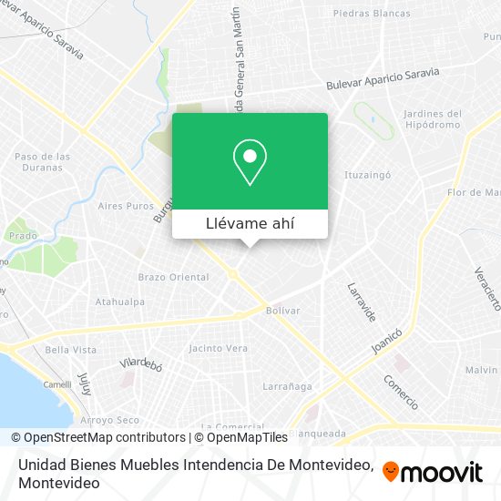 Mapa de Unidad Bienes Muebles Intendencia De Montevideo