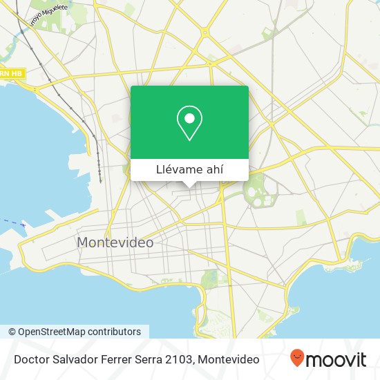 Mapa de Doctor Salvador Ferrer Serra 2103