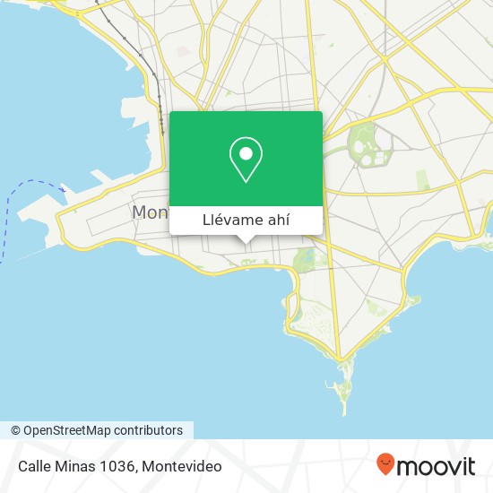 Mapa de Calle Minas 1036