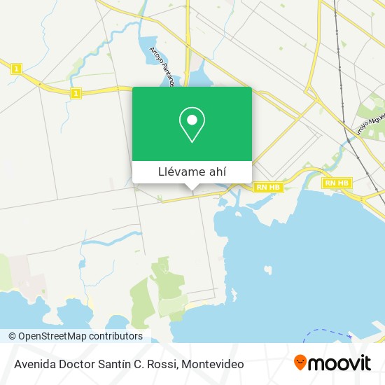 Mapa de Avenida Doctor Santín C. Rossi