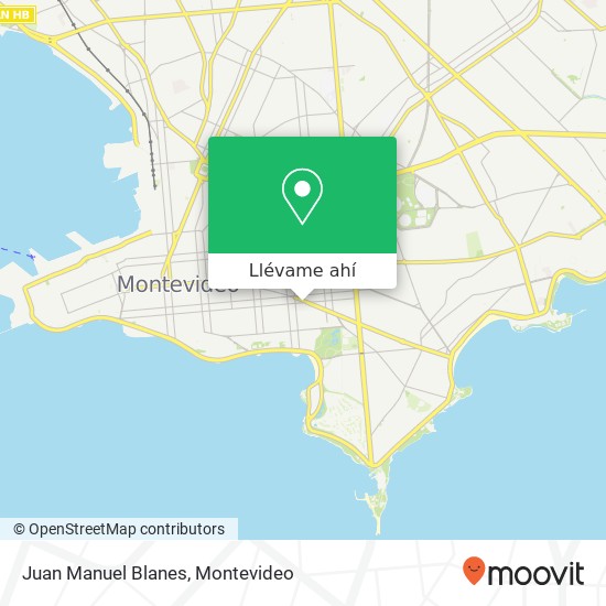 Mapa de Juan Manuel Blanes
