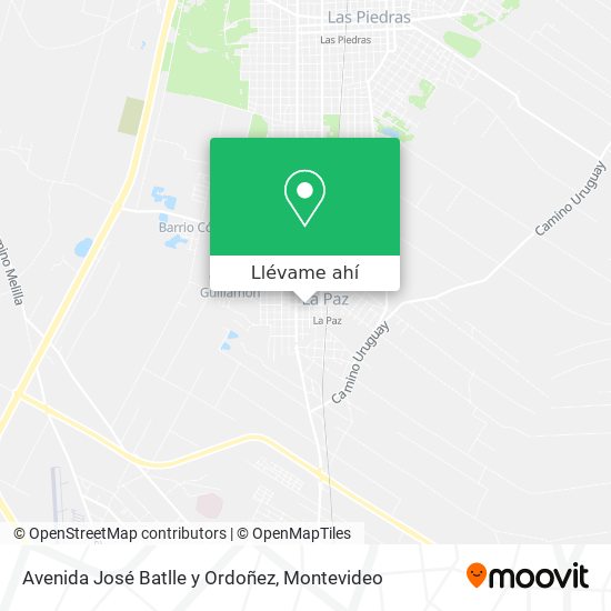Mapa de Avenida José Batlle y Ordoñez