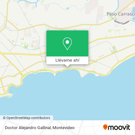Mapa de Doctor Alejandro Gallinal