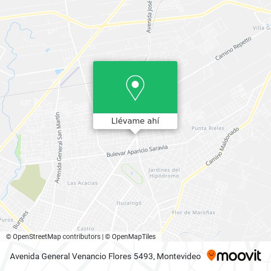 Mapa de Avenida General Venancio Flores 5493