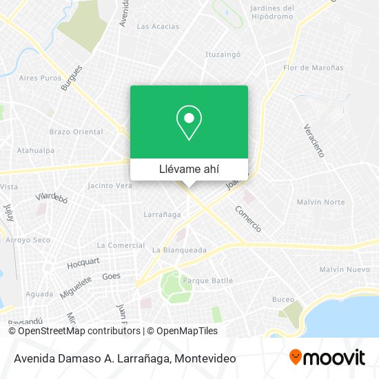Mapa de Avenida Damaso A. Larrañaga