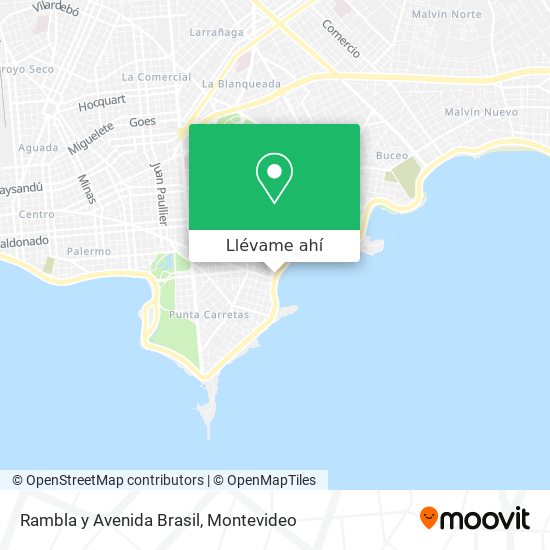 Mapa de Rambla y Avenida Brasil