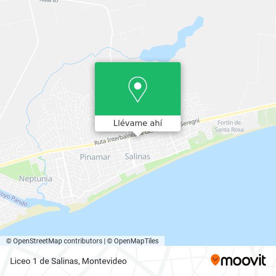 Mapa de Liceo 1 de Salinas