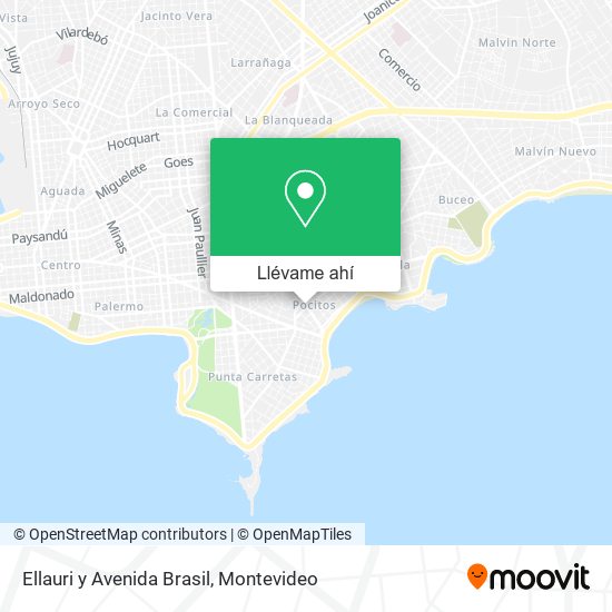 Mapa de Ellauri y Avenida Brasil