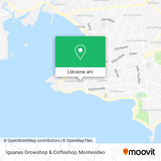 Mapa de Iguanas Growshop & Coffeshop
