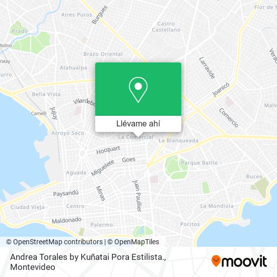 Mapa de Andrea Torales by Kuñatai Pora Estilista.