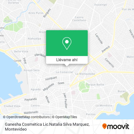 Mapa de Ganesha Cosmética Lic.Natalia Silva Marquez