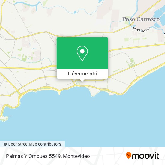 Mapa de Palmas Y Ombues 5549