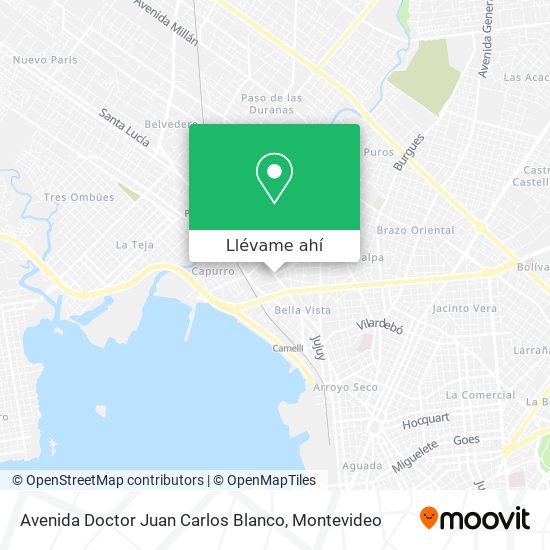 Mapa de Avenida Doctor Juan Carlos Blanco