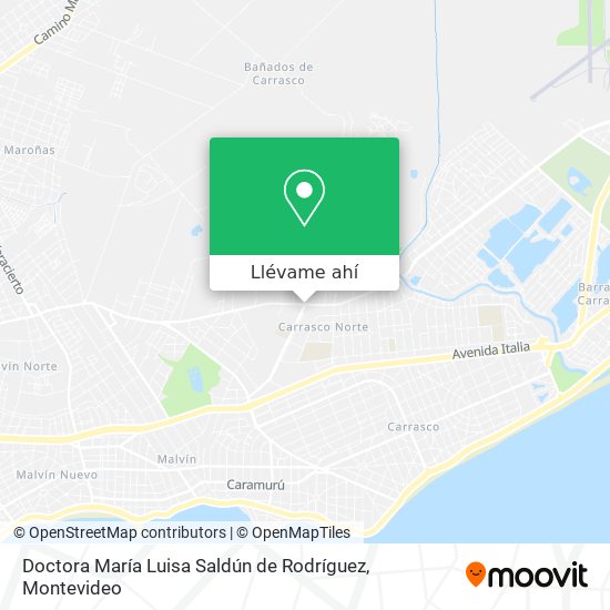Mapa de Doctora María Luisa Saldún de Rodríguez