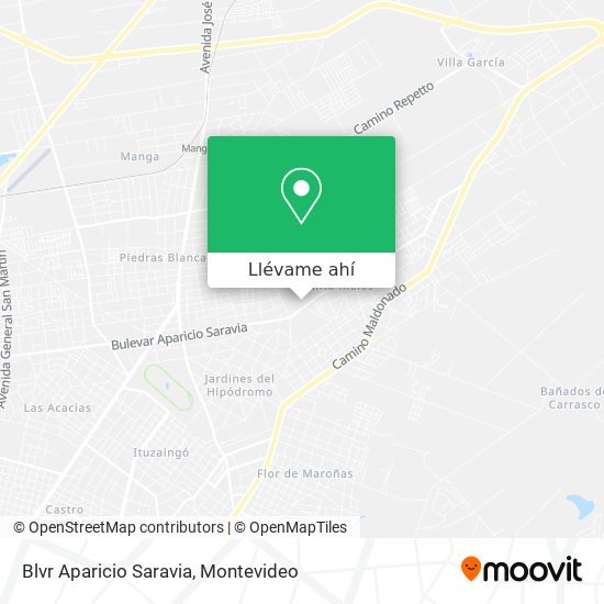 Mapa de Blvr Aparicio Saravia