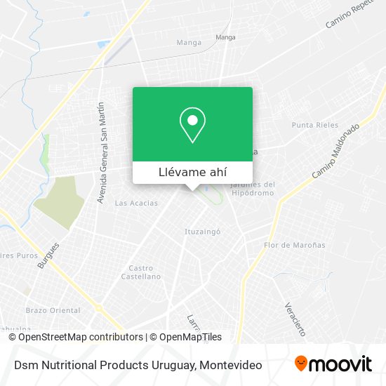 Mapa de Dsm Nutritional Products Uruguay