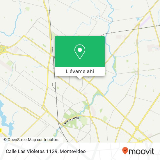 Mapa de Calle Las Violetas 1129