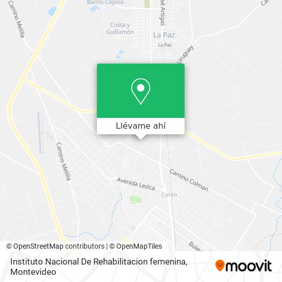 Mapa de Instituto Nacional De Rehabilitacion femenina