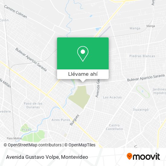 Mapa de Avenida Gustavo Volpe